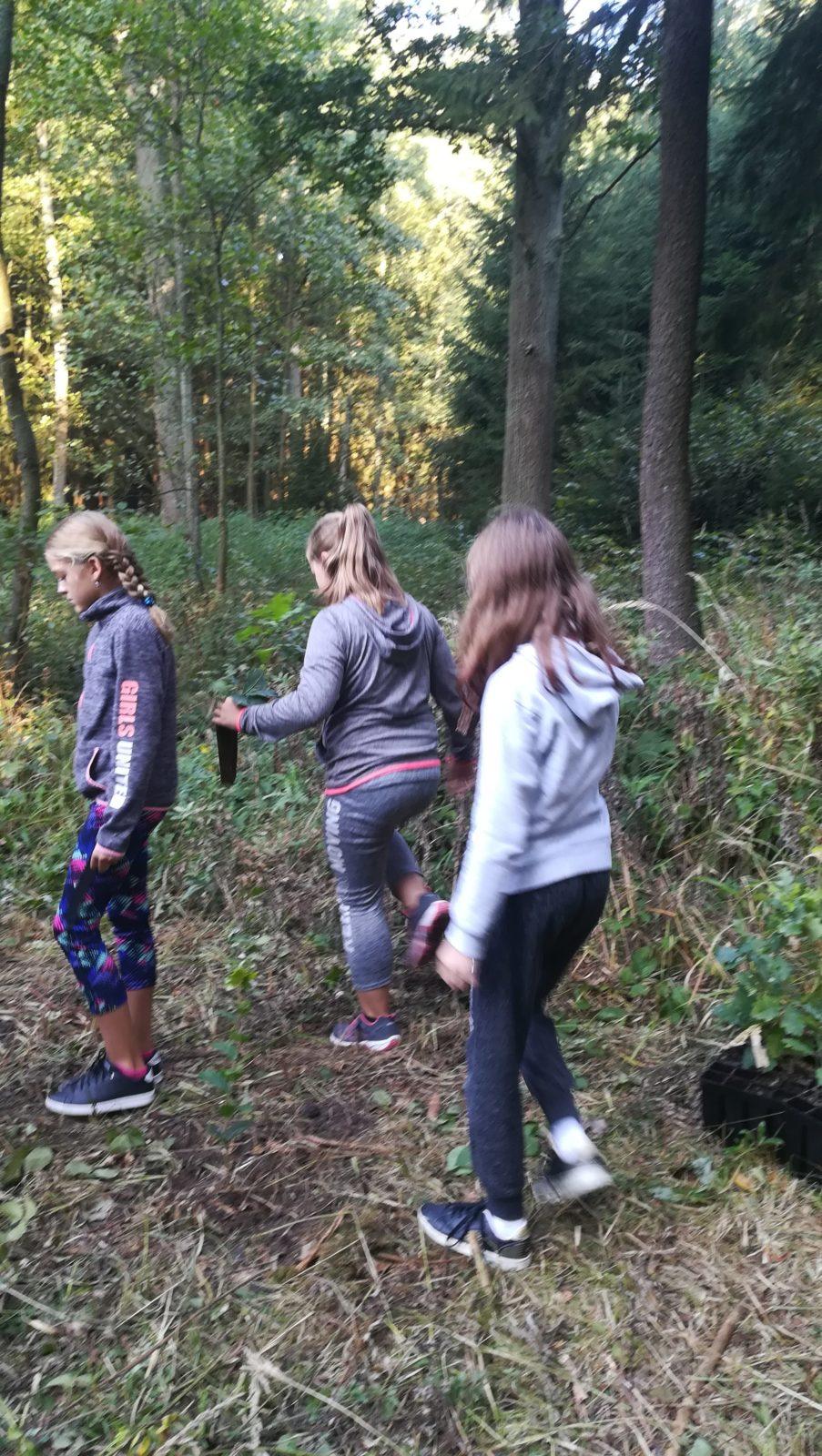 Do lesa s lesníkem - 21