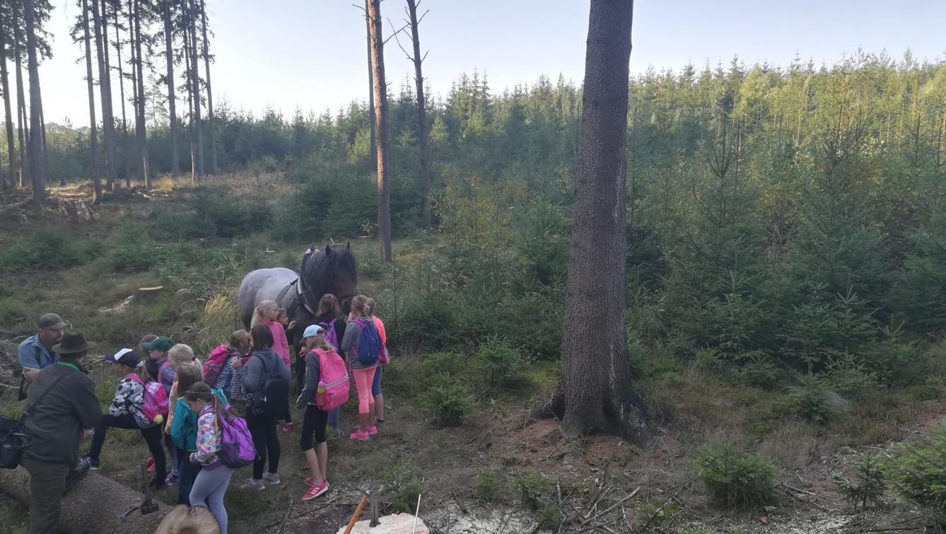 Do lesa s lesníkem - 27