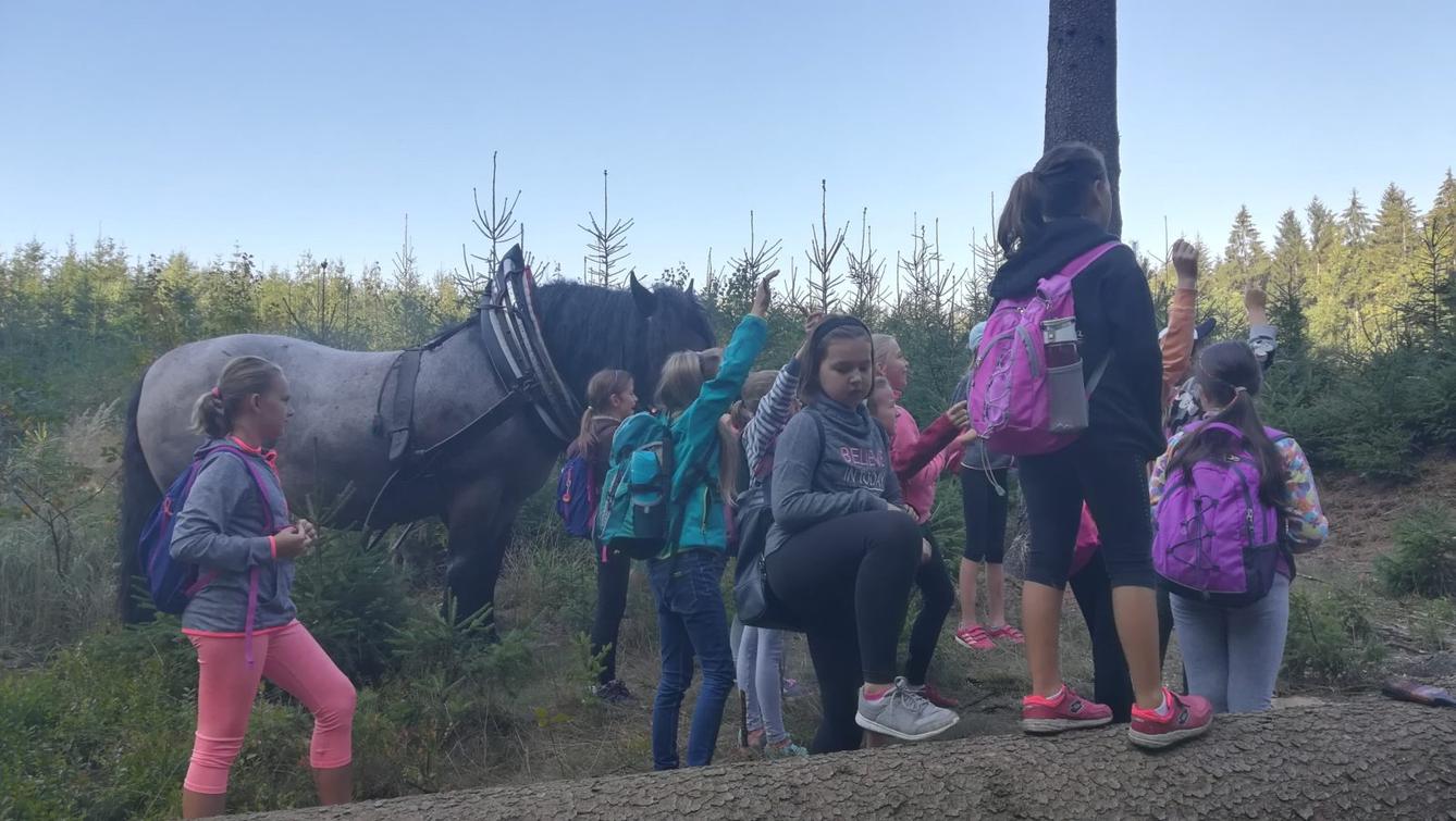 Do lesa s lesníkem - 30