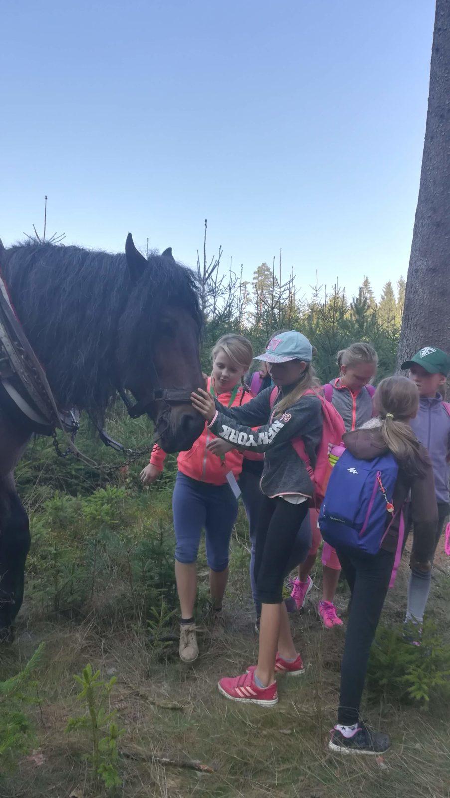 Do lesa s lesníkem - 32