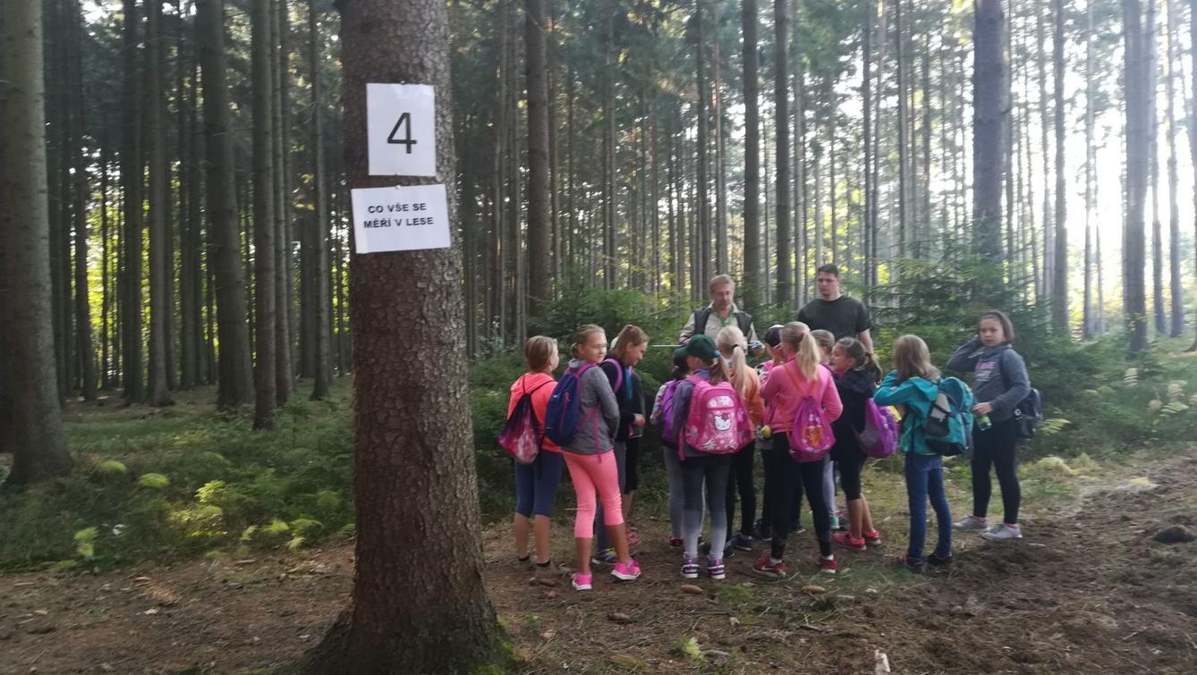 Do lesa s lesníkem - 33