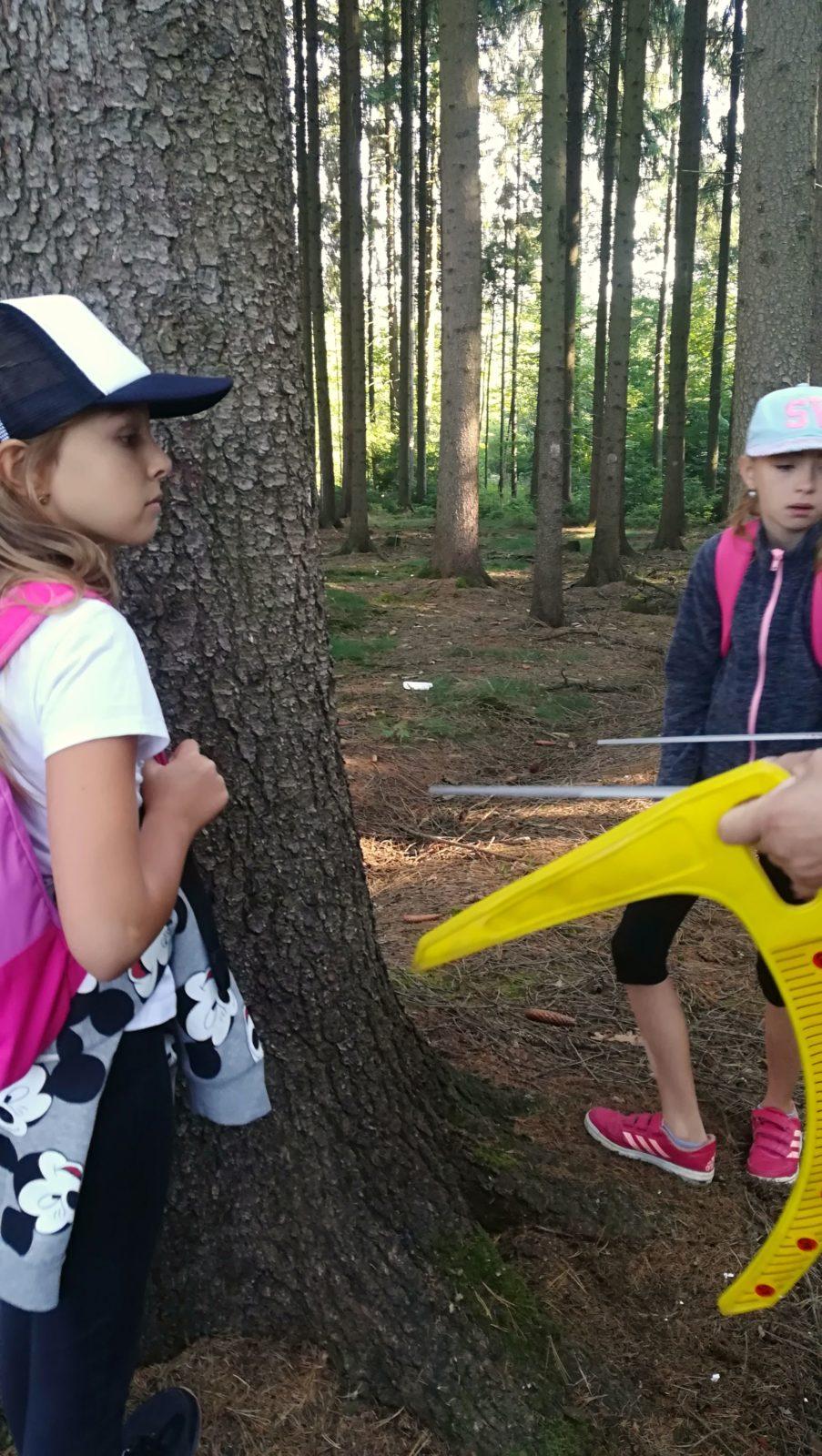 Do lesa s lesníkem - 34