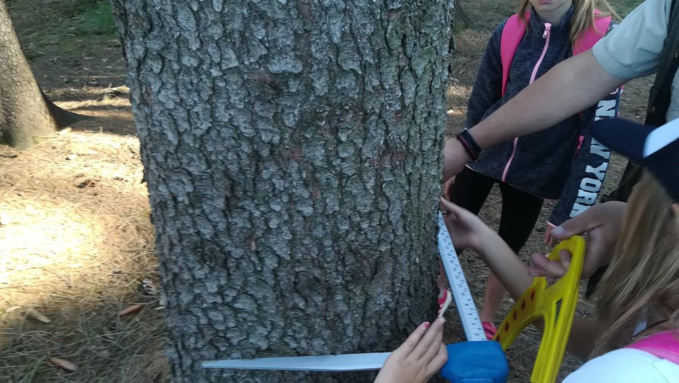 Do lesa s lesníkem - 35