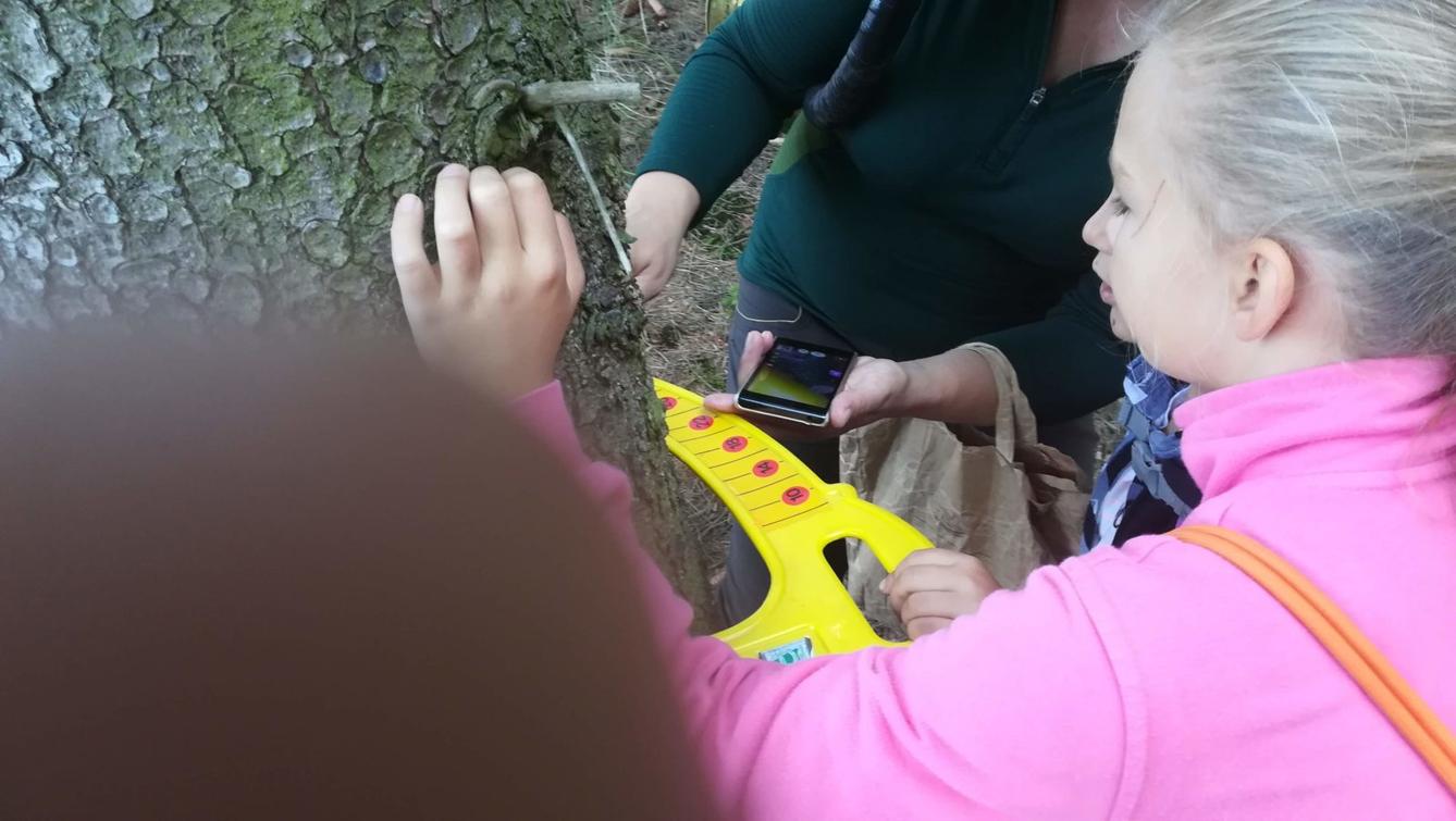 Do lesa s lesníkem - 36