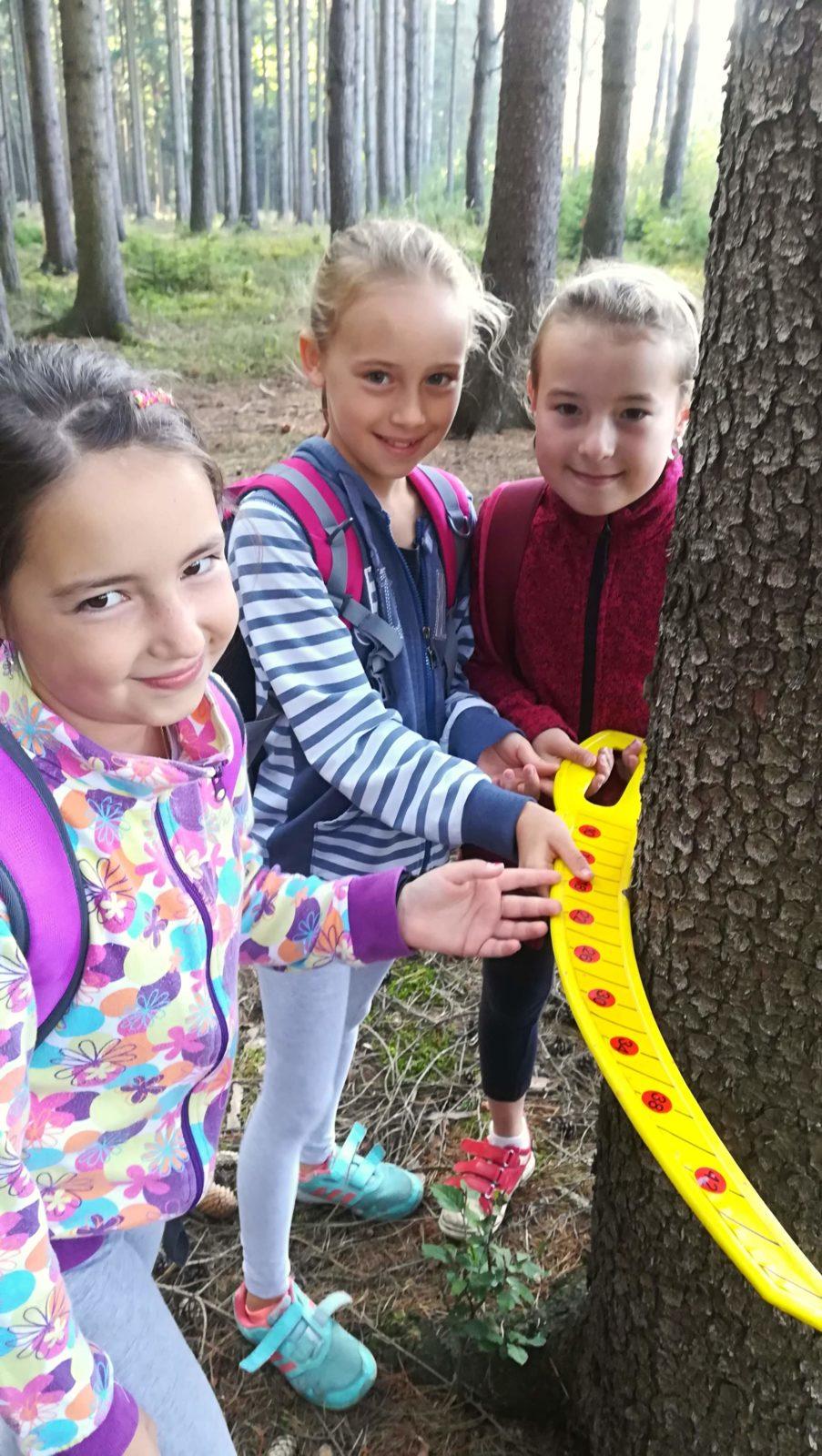 Do lesa s lesníkem - 38