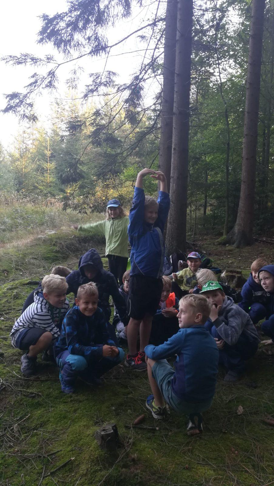 Do lesa s lesníkem - 40