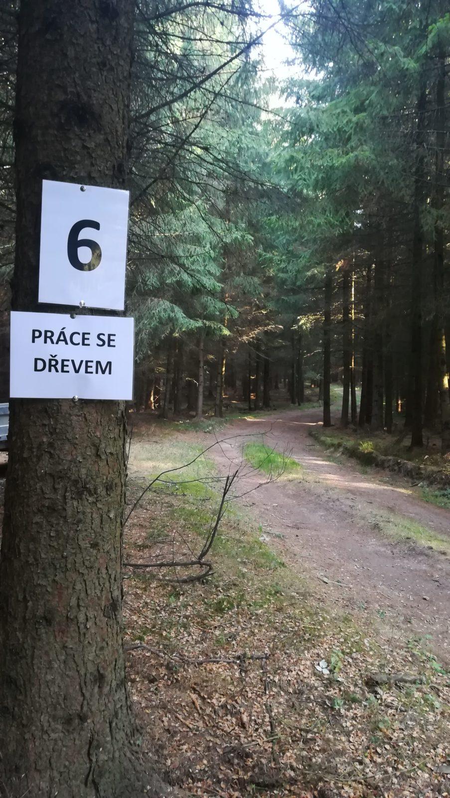 Do lesa s lesníkem - 43