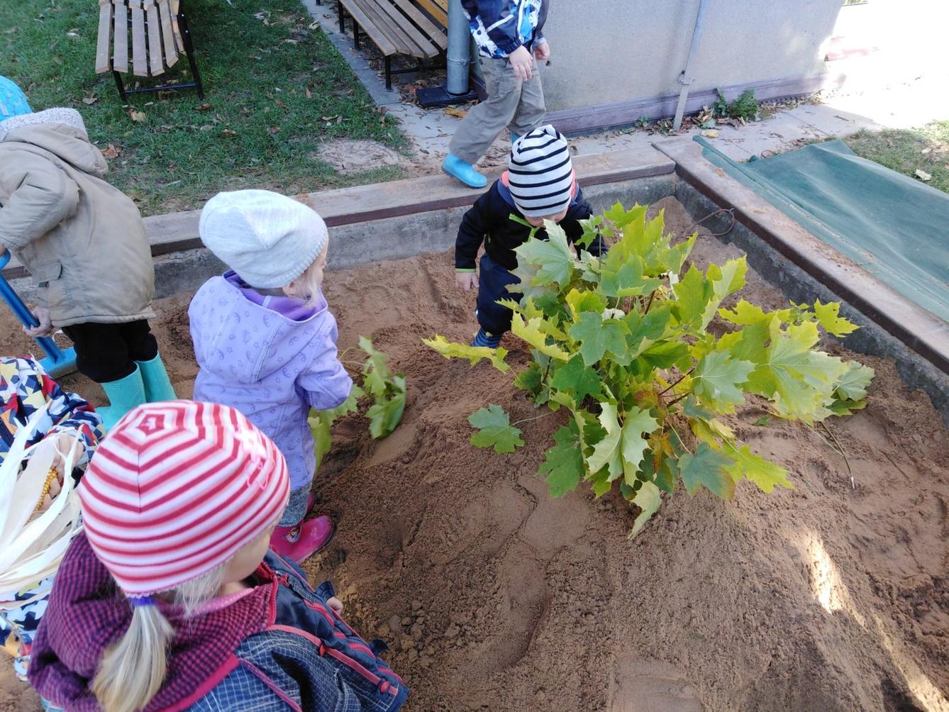 UŽÍVÁME SI ZAHRADY - 12