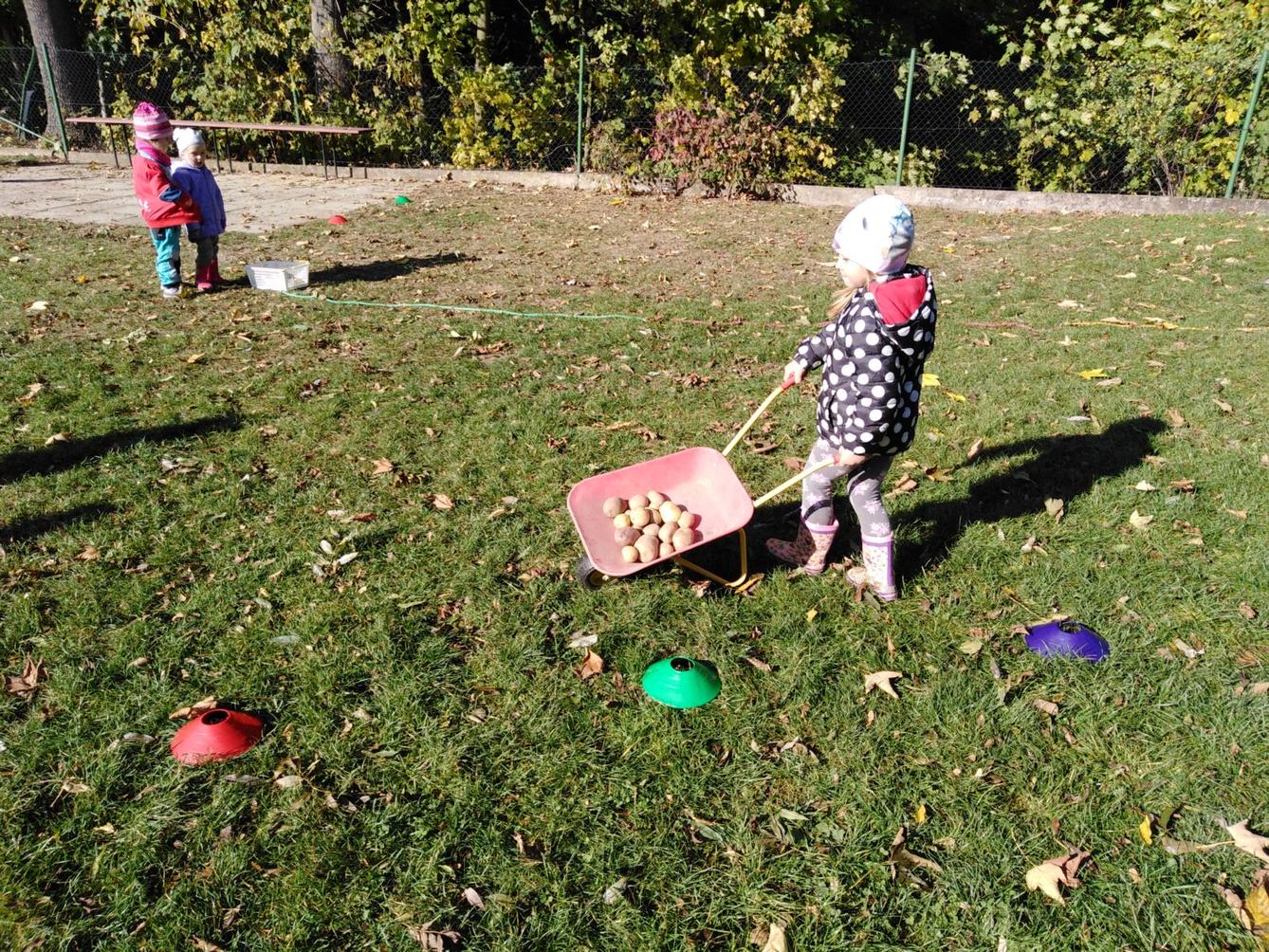 UŽÍVÁME SI ZAHRADY - 27