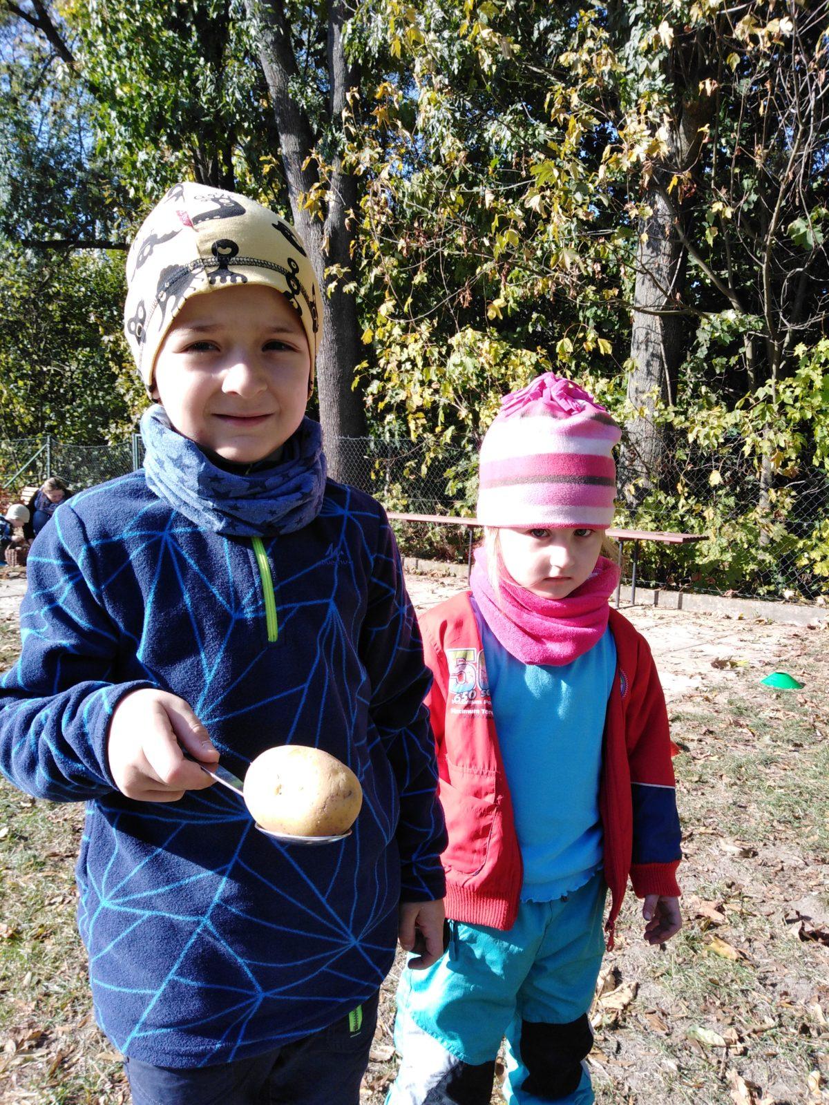 UŽÍVÁME SI ZAHRADY - 29