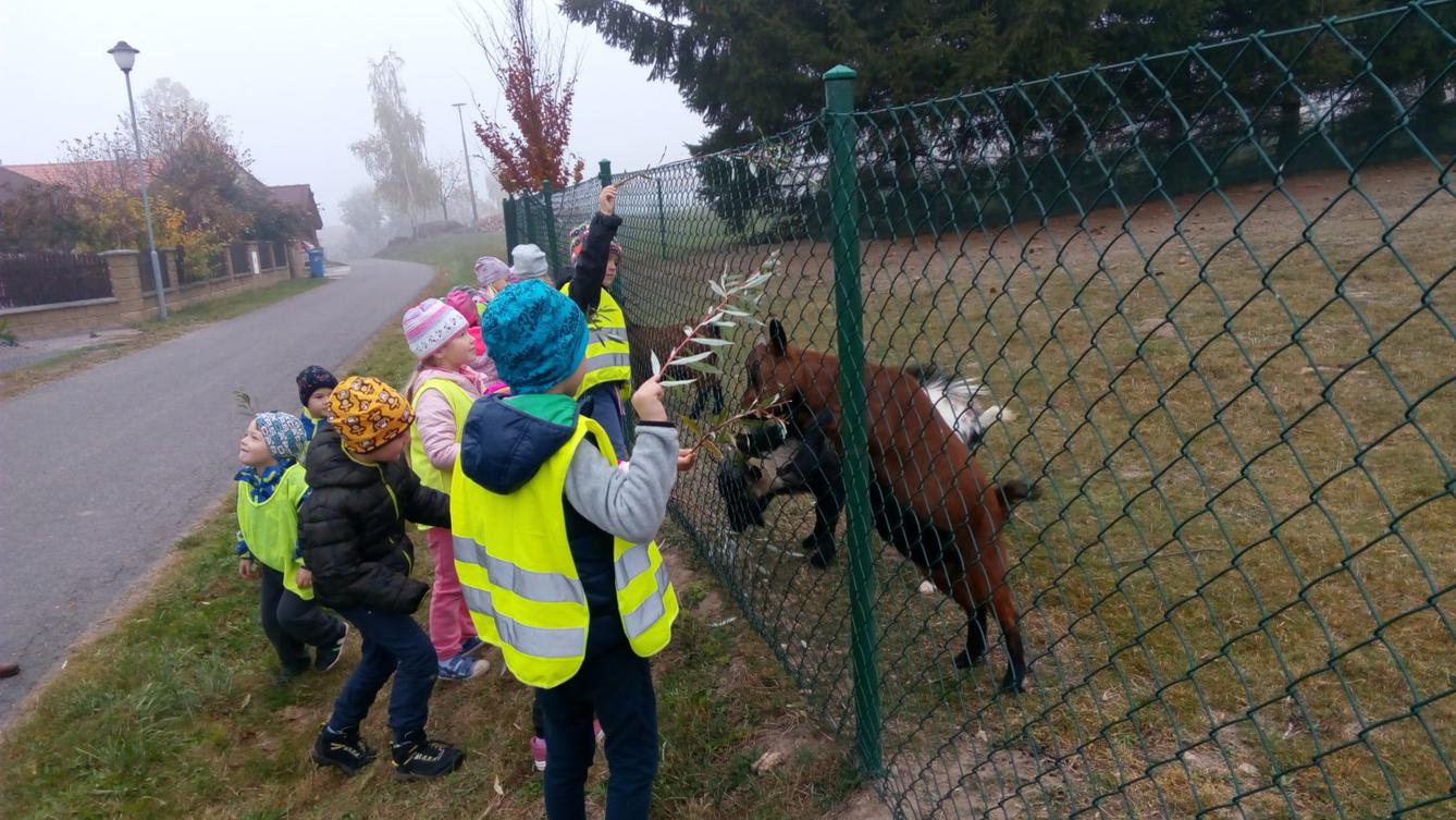 podzim u Klokánků I.- malujeme, tvoříme, hrajeme si - 61
