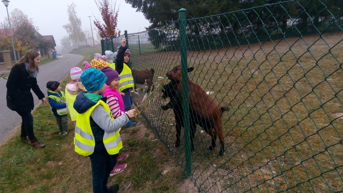podzim u Klokánků I.- malujeme, tvoříme, hrajeme si - 63