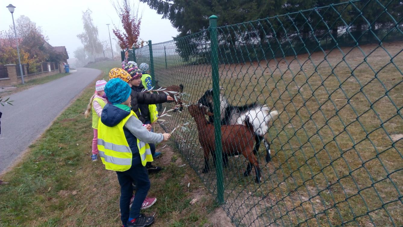 podzim u Klokánků I.- malujeme, tvoříme, hrajeme si - 64