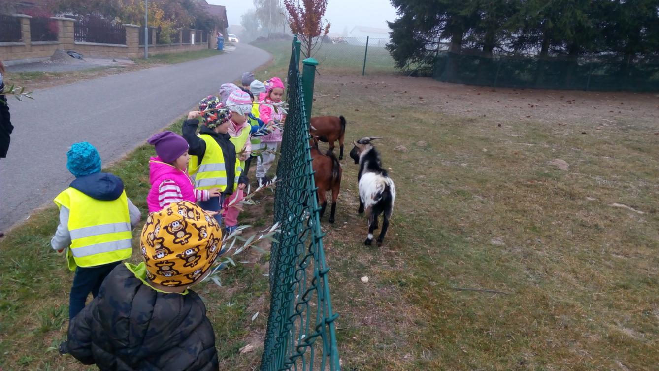 podzim u Klokánků I.- malujeme, tvoříme, hrajeme si - 67