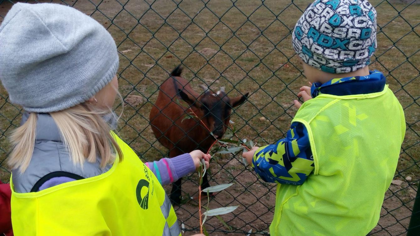 podzim u Klokánků I.- malujeme, tvoříme, hrajeme si - 68