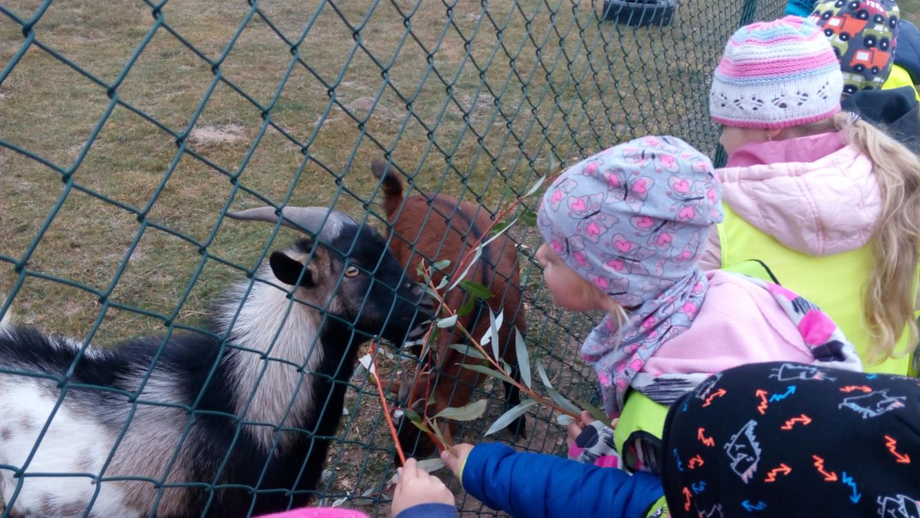 podzim u Klokánků I.- malujeme, tvoříme, hrajeme si - 70