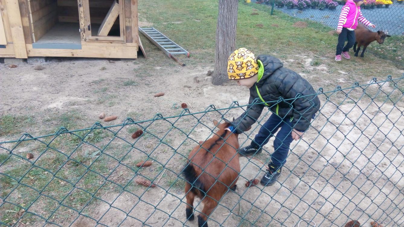 podzim u Klokánků I.- malujeme, tvoříme, hrajeme si - 71