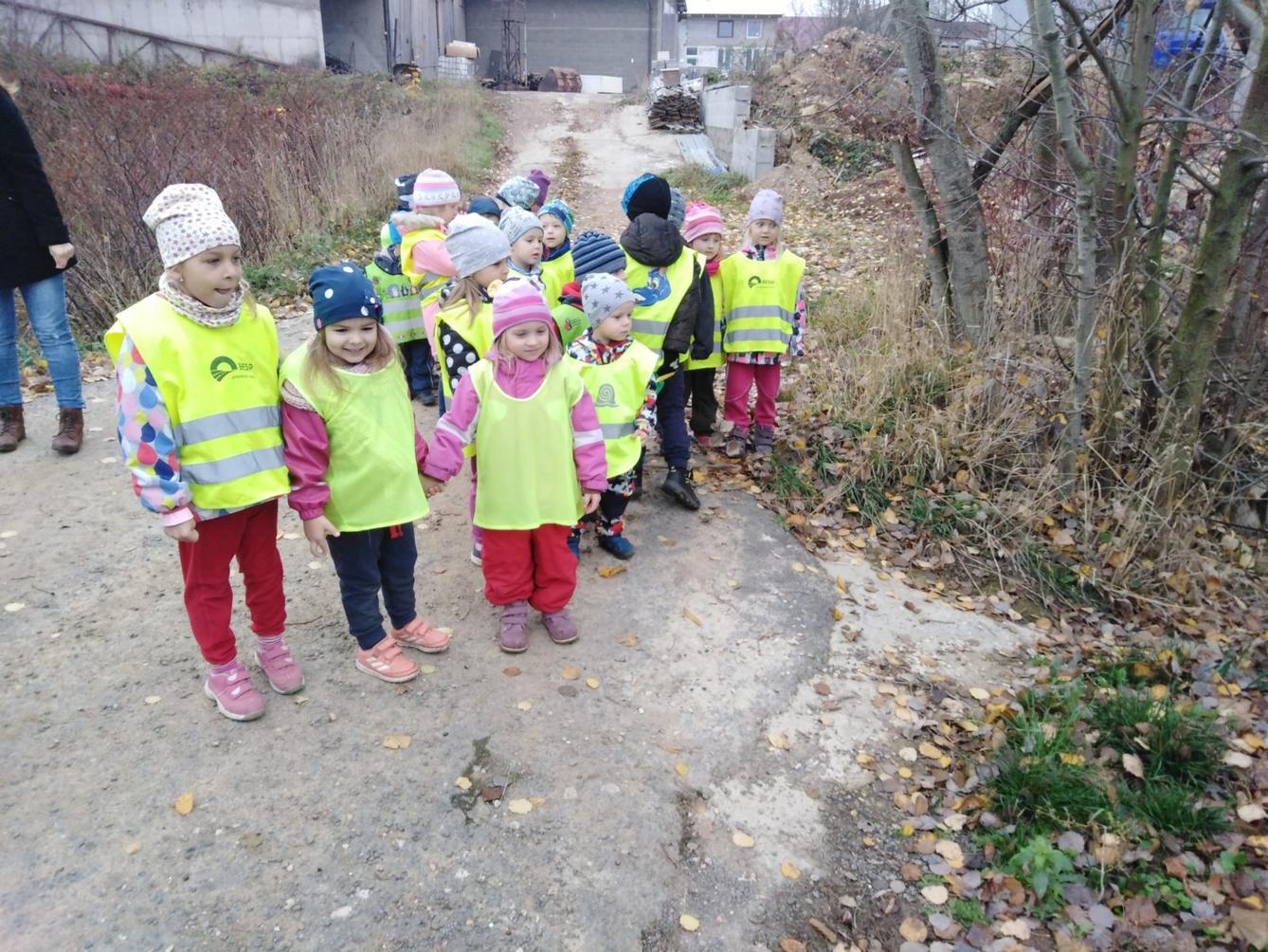 Vycházky k divokým prasátkům - 3