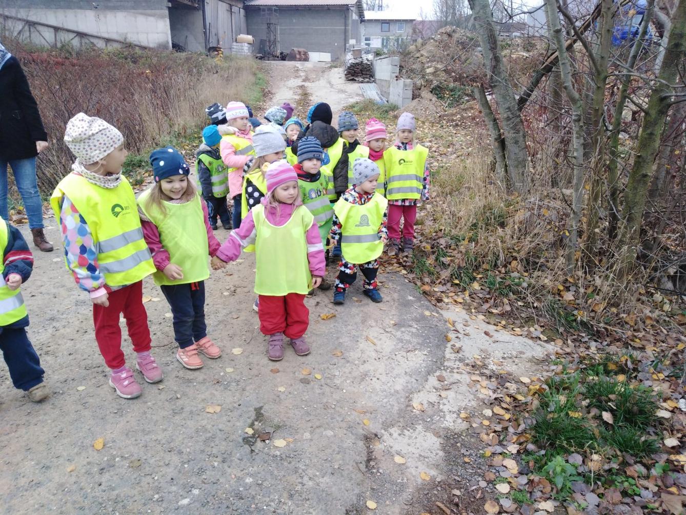 Vycházky k divokým prasátkům - 4