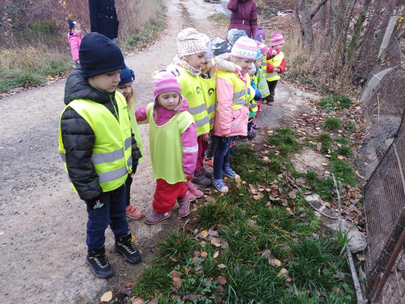 Vycházky k divokým prasátkům - 6