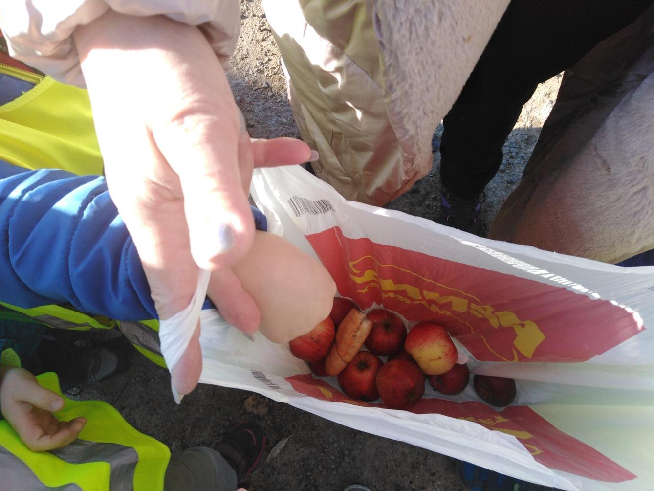 Vycházky k divokým prasátkům - 7