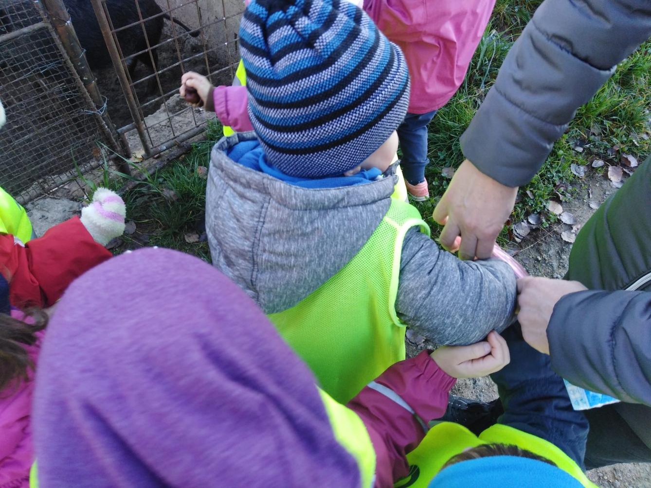 Vycházky k divokým prasátkům - 11