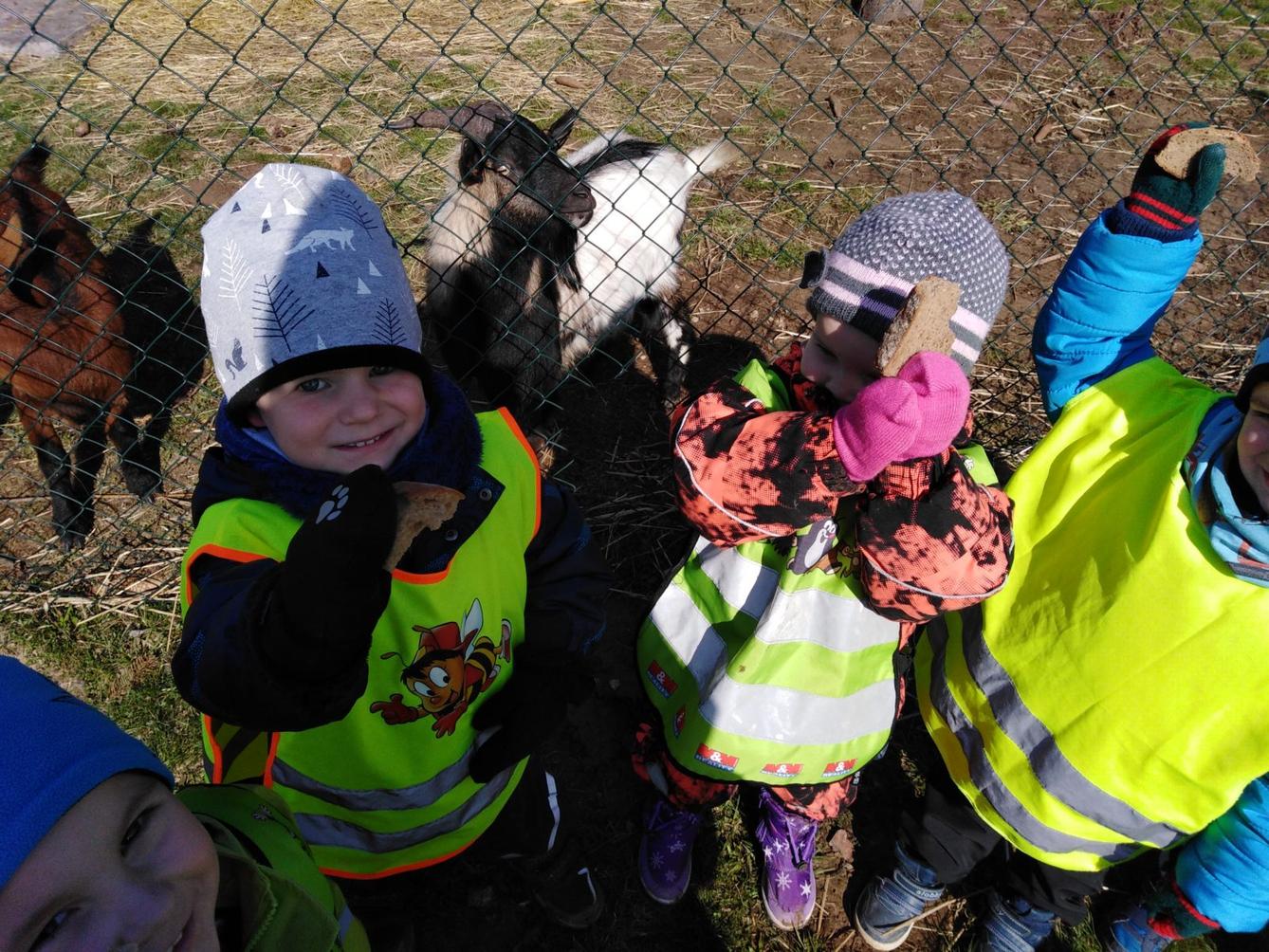 Máme rádi zvířata II.: kozičky - 14