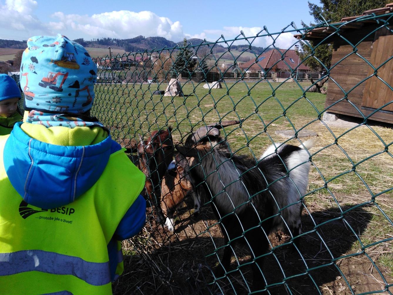 Máme rádi zvířata II.: kozičky - 21