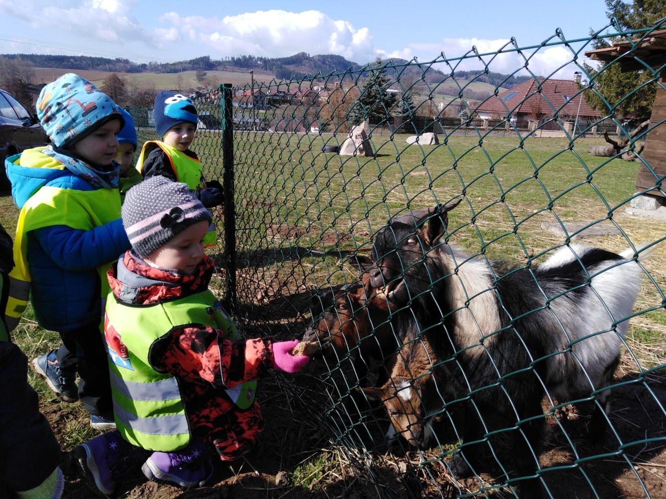 Máme rádi zvířata II.: kozičky - 22