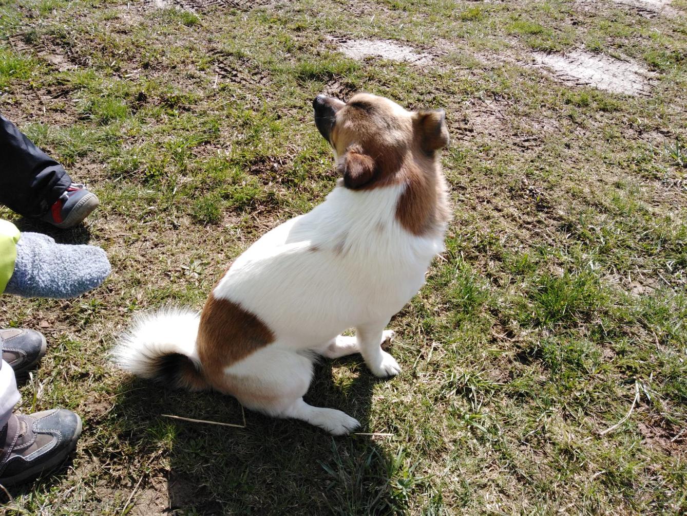 Máme rádi zvířata II.: kozičky - 25