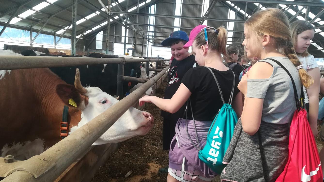 Den Země na 1. stupni ZŠ - 2