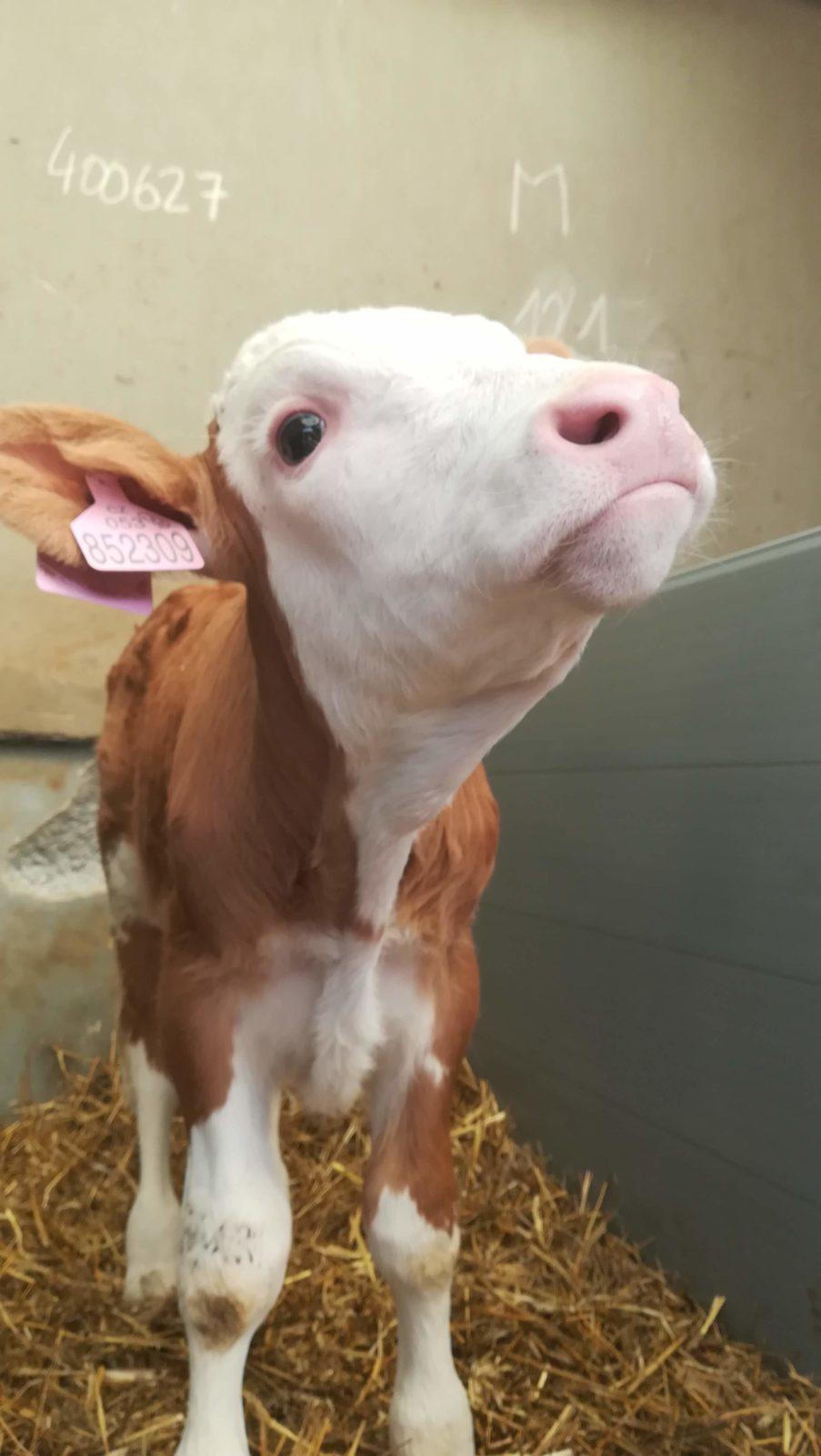 Den Země na 1. stupni ZŠ - 4