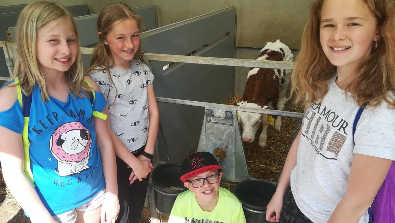 Den Země na 1. stupni ZŠ - 5