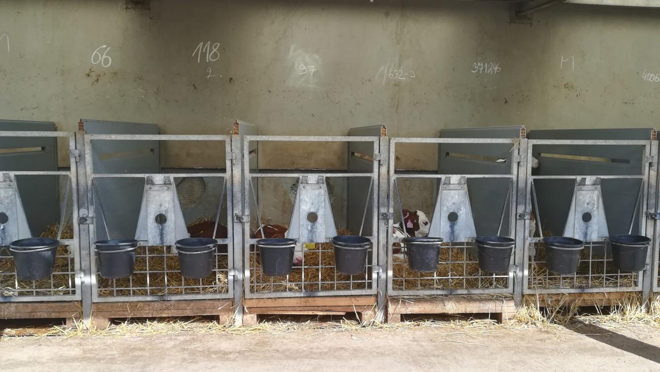 Den Země na 1. stupni ZŠ - 6