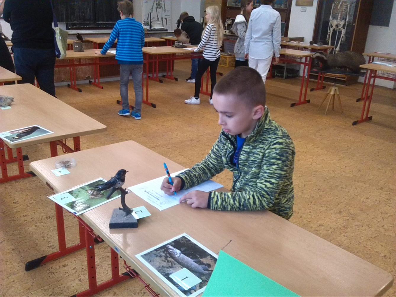 Přírodovědná soutěž v České Třebové - I. stupeň - 1