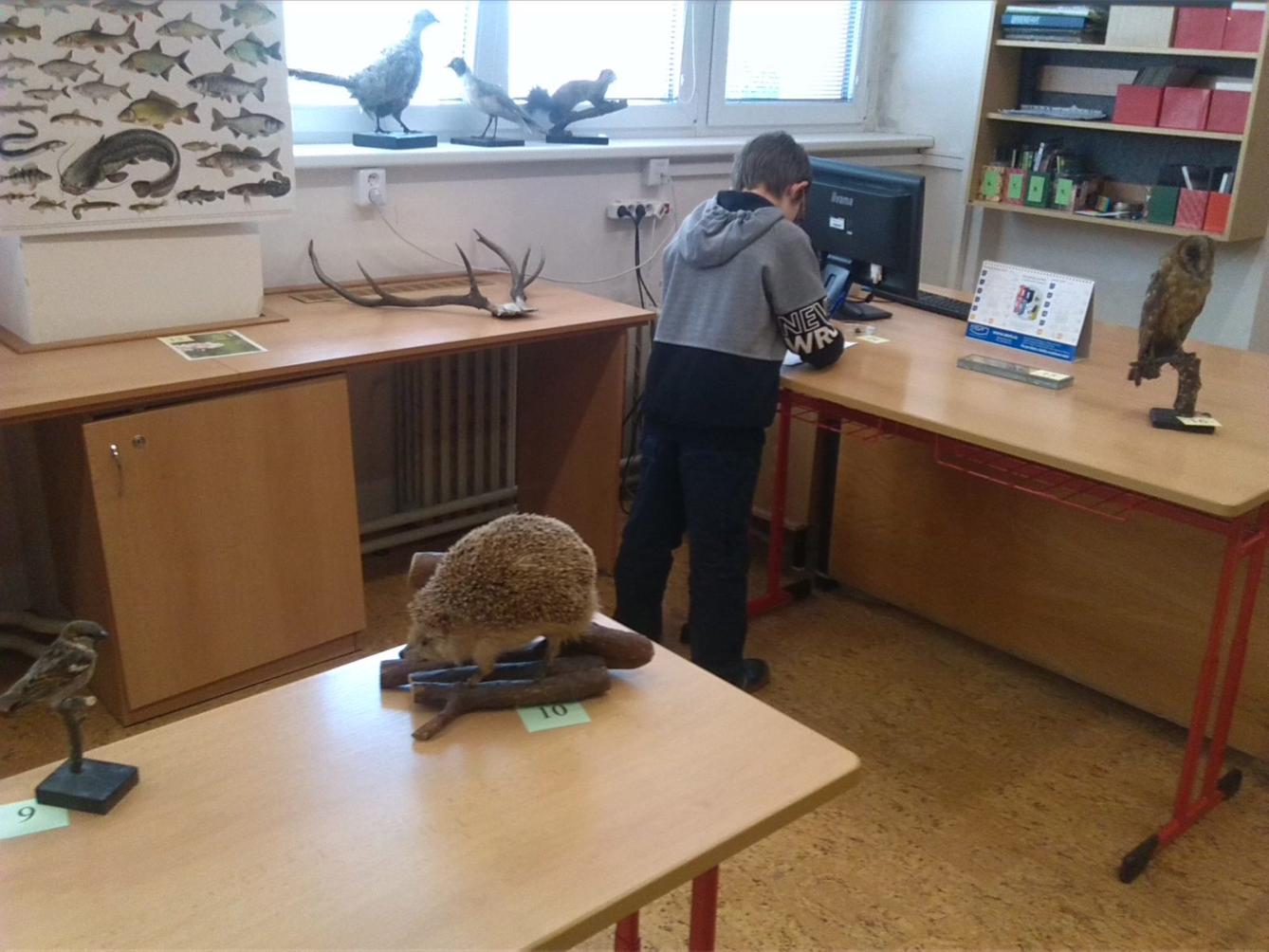 Přírodovědná soutěž v České Třebové - I. stupeň - 7