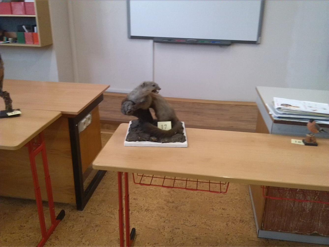 Přírodovědná soutěž v České Třebové - I. stupeň - 8