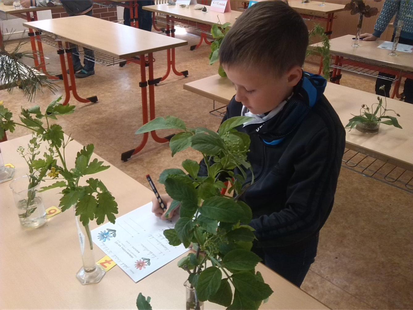 Přírodovědná soutěž v České Třebové - I. stupeň - 12