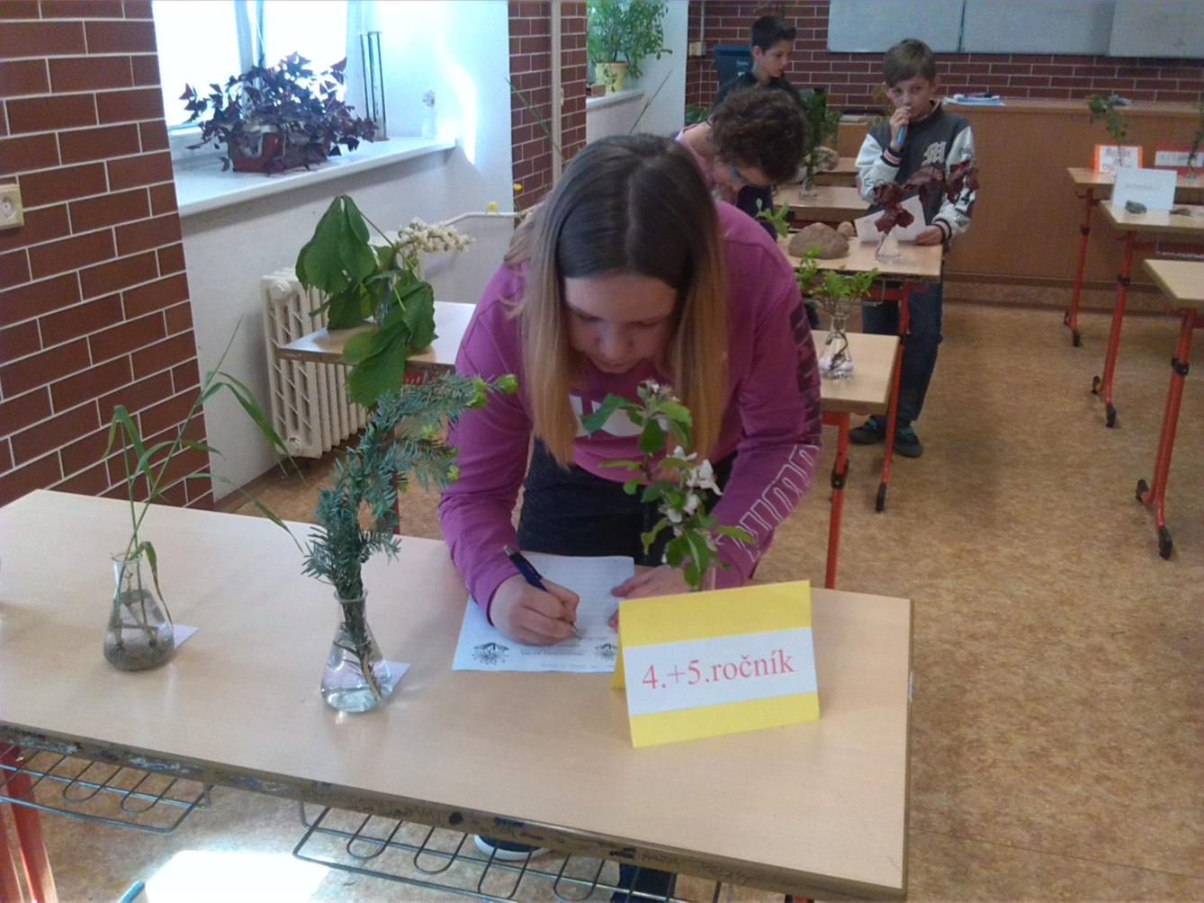 Přírodovědná soutěž v České Třebové - I. stupeň - 13