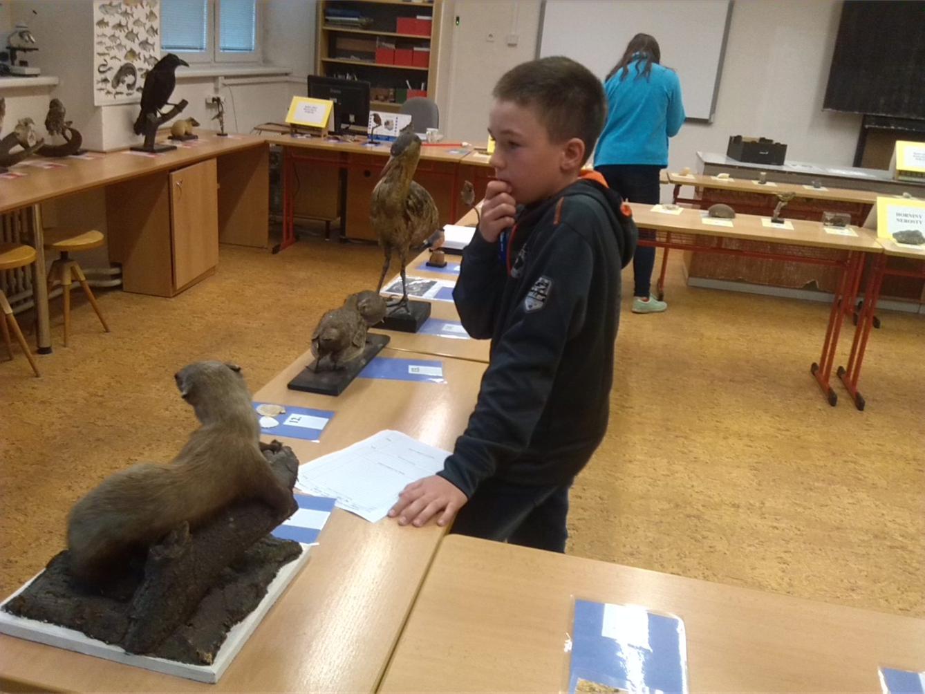 Poznávání přírodnin a minerálů - II. stupeň - 6