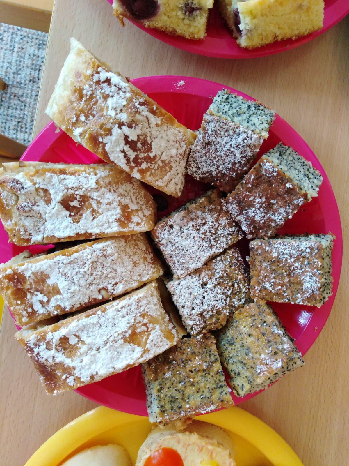 workshop zahrada:-) - 13