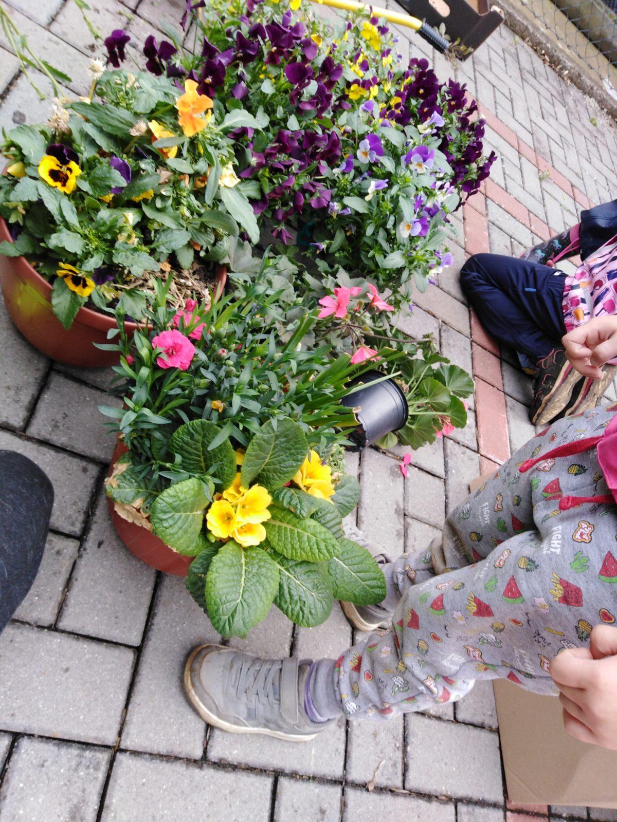 workshop zahrada:-) - 29