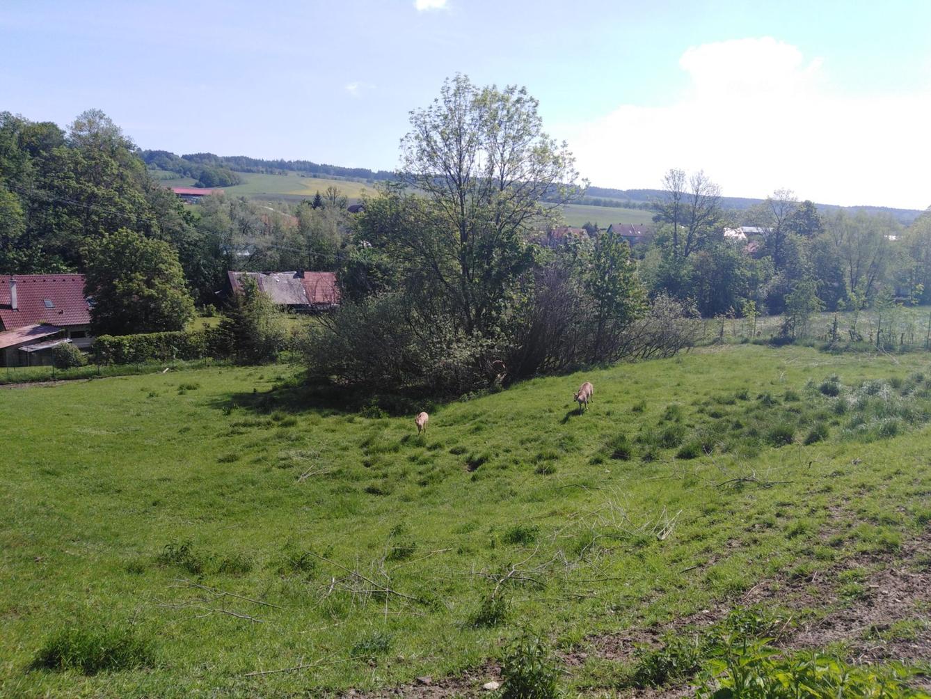 Vycházka za jeleny a návštěva lesní školky - 31