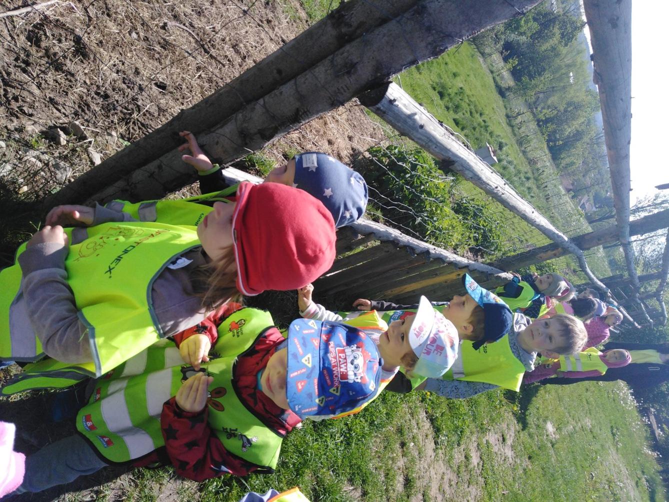 Vycházka za jeleny a návštěva lesní školky - 33