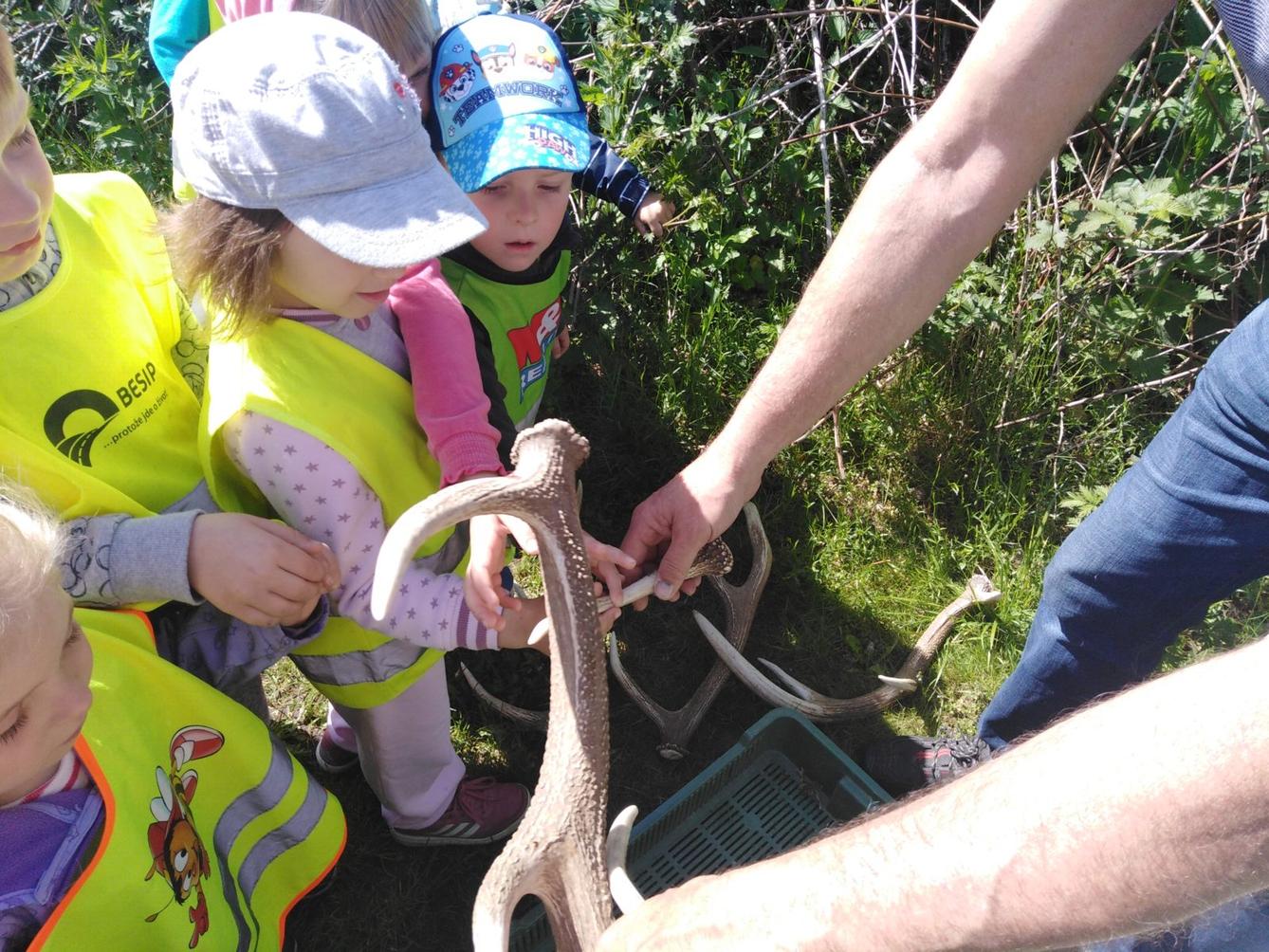 Vycházka za jeleny a návštěva lesní školky - 34