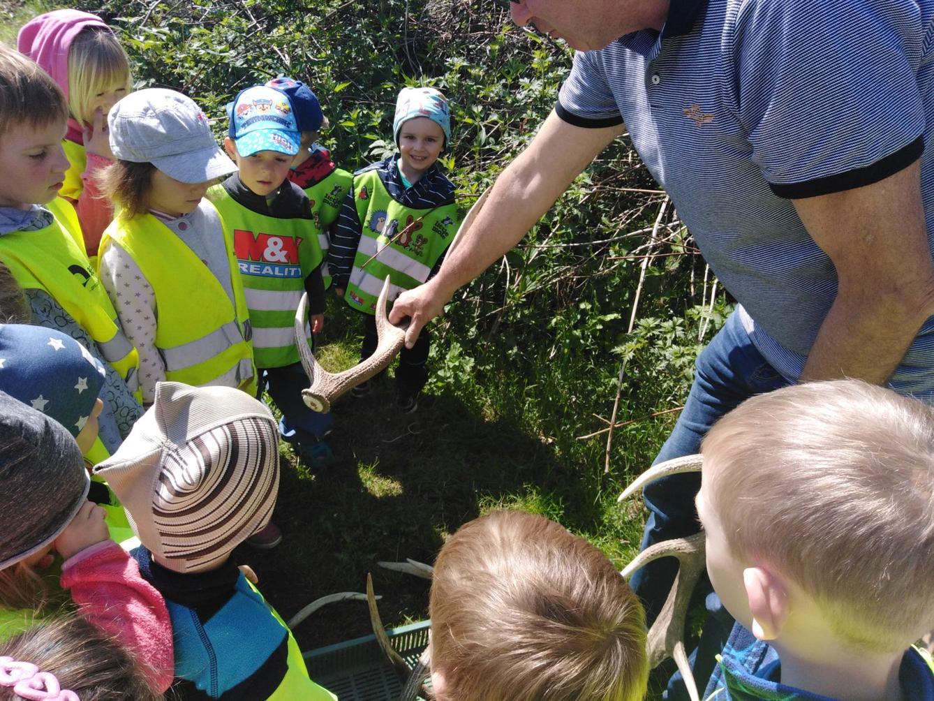 Vycházka za jeleny a návštěva lesní školky - 36