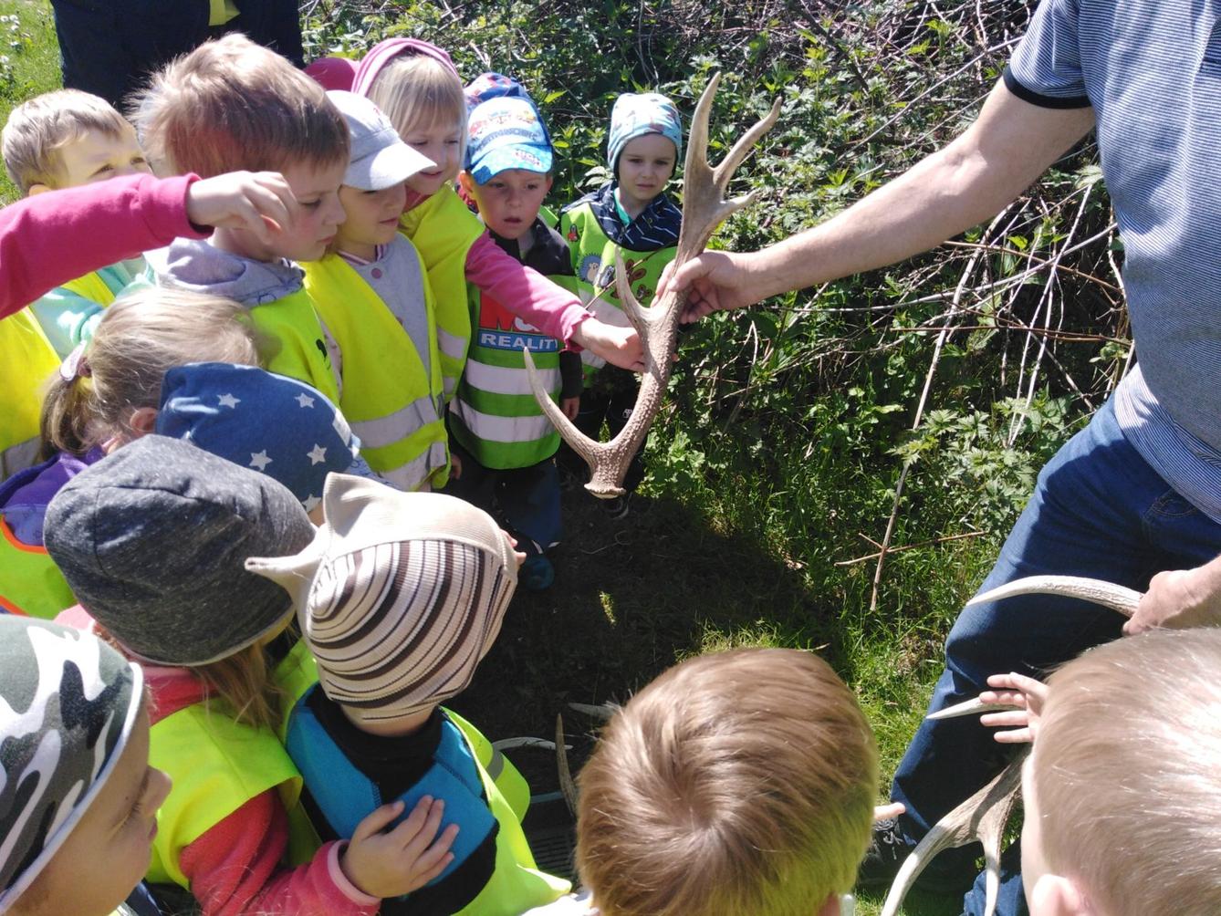 Vycházka za jeleny a návštěva lesní školky - 37