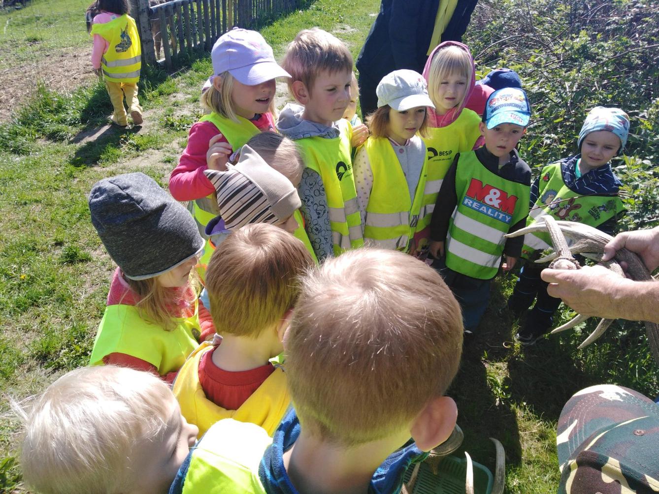 Vycházka za jeleny a návštěva lesní školky - 39