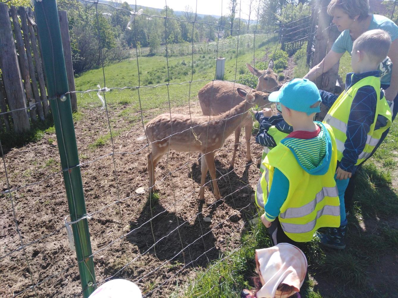 Vycházka za jeleny a návštěva lesní školky - 42