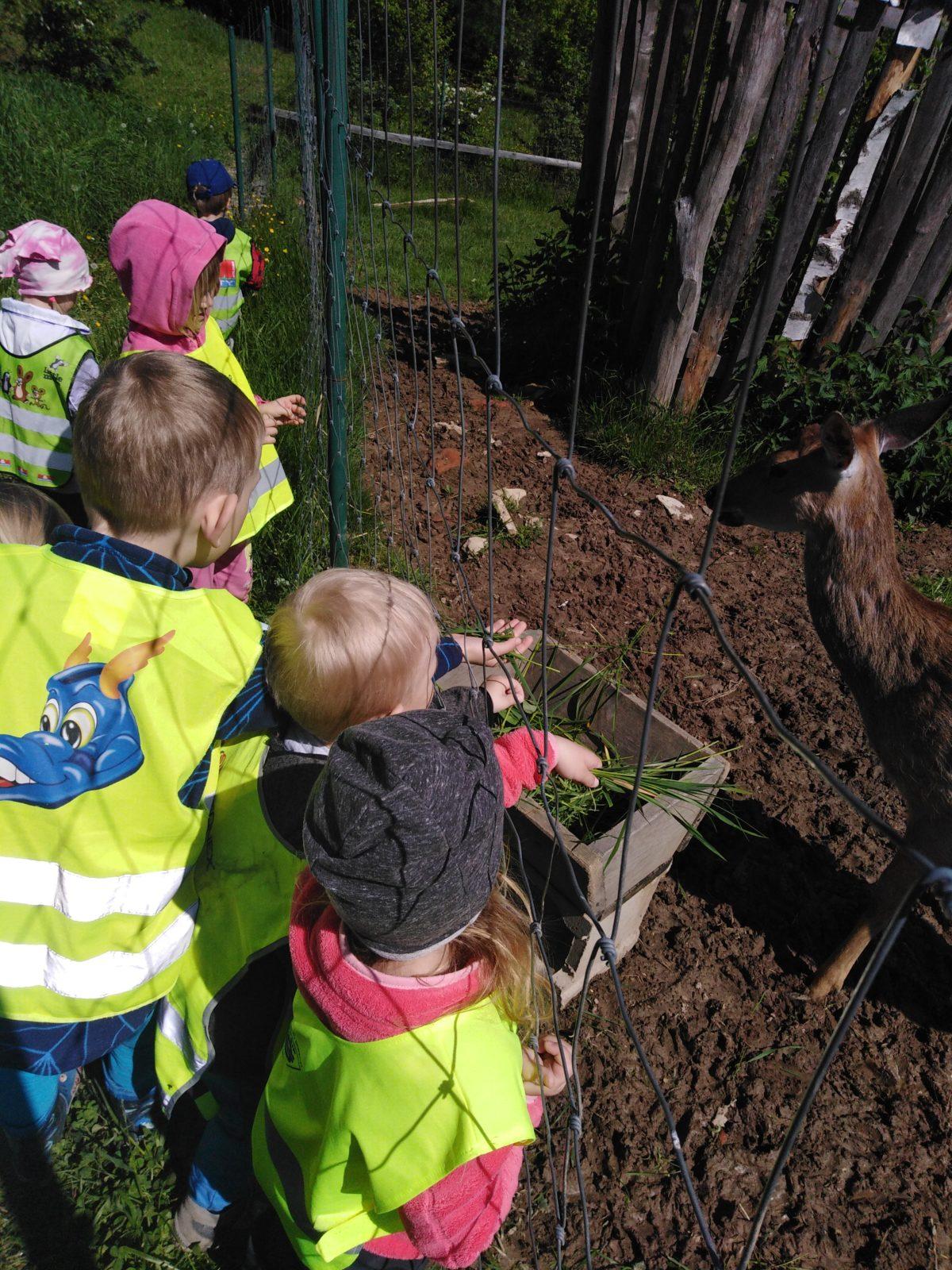 Vycházka za jeleny a návštěva lesní školky - 47